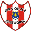 sparing: Orzeł Przeworsk - Polonia Przemyśl 2-1
