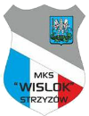 Jacek Klisiewicz trenerem Wisłoka Strzyżów