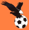 sparing: Sokół Kamień - Orły Rzeszów 2-2