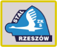 sparing: Stal Rzeszów - Stal Sanok 3-1 [zdjęcia]
