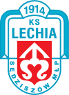 sparing: Lechia Sędziszów Młp - Igloopol Dębica 2-2