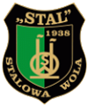 Nieszczęśliwy remis „Stalówki” w Krakowie
