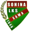 Adam Domaradzki trenerem Sawy Sonina