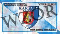 fot. Karpaty Krosno