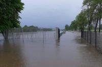 Tak wygląda w tej chwili stadion Sokoła Kolbuszowa Dolna.