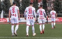 Apklan Resovia w sobotę zagra z Zagłębiem Sosnowiec (fot. Robert Skalski)