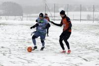 fot. Stal Stalowa Wola PSA