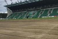 Firma Florena zadba o to, aby „Stalówka” znów miała na stadionie gęsty, zielony dywan (fot. Archiwum Stal Stalowa Wola)