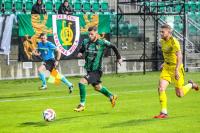 Stal Stalowa Wola w sobotę zmierzy się z GKS-em Jastrzębie (fot. Radosław Kuśmierz)