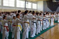W turnieju karate Glass Cup 2025 w Krośnie udział wzięło 270 uczestników.