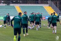 fot. Daniel Tracz/ Stal Stalowa Wola