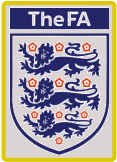 Euro 2012: Anglia - Ukraina 1-0. Gospodarze odpadli z turnieju