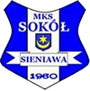sparing: Pogoń Leżajsk - Sokół Sieniawa 0-2