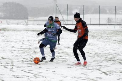 fot. Stal Stalowa Wola PSA