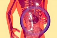 Jak wspierać regenerację wątroby?