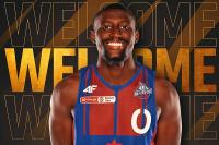 Świąteczna niespodzianka od Sokoła Łańcut! Do zespołu dołączył Amerykanin