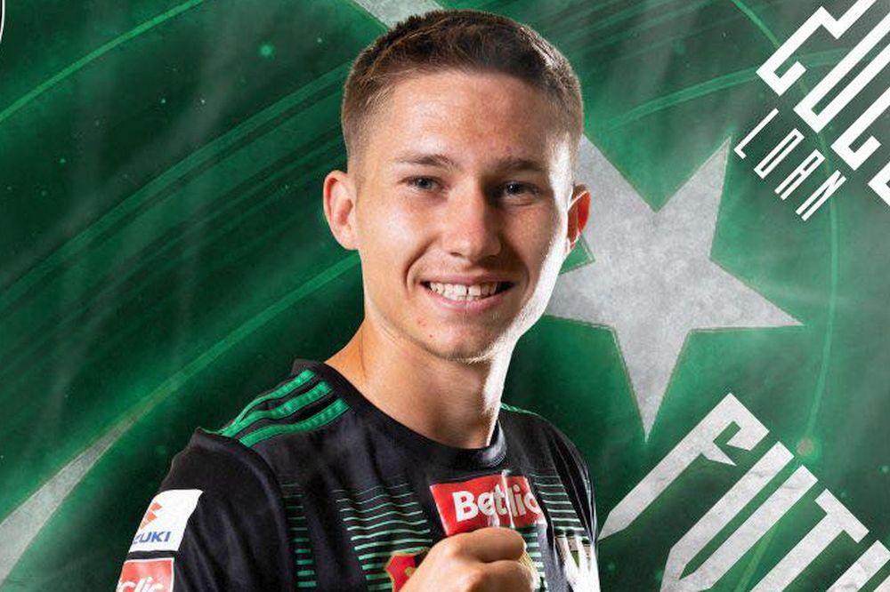 Jakub Niedbała wypożyczony do Stali Stalowa Wola (fot. Stal Stalowa Wola)