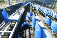 Echa meczu Hutnik Kraków - Wisłoka Dębica [WYPOWIEDZI, WIDEO]