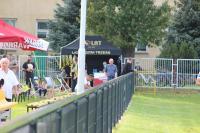 WIDEO: Czarni Trześń - SPEC Stal Łańcut 0-4 [BRAMKI]