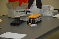 Stalówka po kolejnych badaniach...