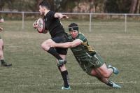 Gdzie obstawiać rugby w zakładach bukmacherskich?