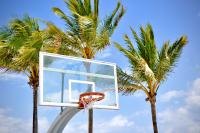 Specjalistyczne skarpetki do koszykówki