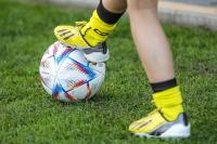 Spore zmiany w Pro Junior System!