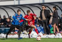 Wygrana Podhala Nowy Targ w meczu sparingowym z Pogonią-Sokołem Lubaczów