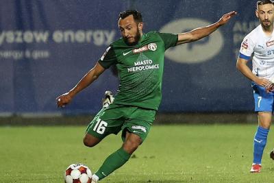 Puszcza Niepołomice w strefie spadkowej