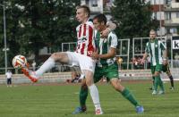 sparing: Resovia - Puszcza Niepołomice 0-2