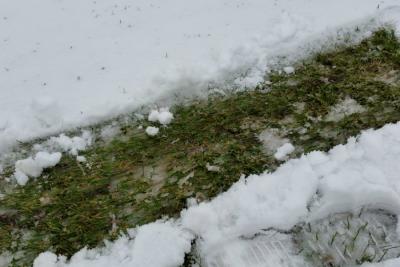 3 liga gr. IV: Chełmianka już odwołała, kilka meczów zagrożonych