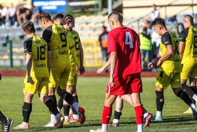 Grad goli w Kamieniu