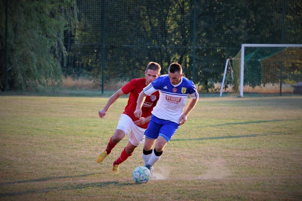 Stal Nowa Dęba (niebiesko-białe stroje) do treningów po przerwie zimowej wróci 12 stycznia 2016 roku.