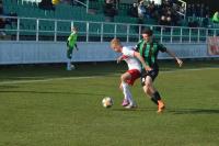 Blamaż Stalówki w meczu ze Skrą Częstochowa