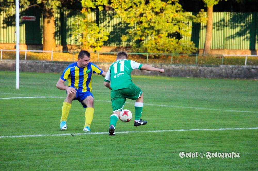 fot. Wisłoka Dębica