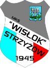 Remis w Strzyżowie. Wisłok - Rzemieślnik 1-1