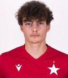 Hugo Woyna-Orlewicz - Wiślanie Skawina