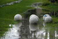 Spotkanie Czarnych Połaniec z Avią Świdnik zostało przełożone