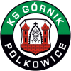 Herb - Górnik Polkowice