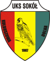 Herb - Sokół II Kolbuszowa Dolna