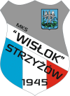 Herb - Wisłok Strzyżów