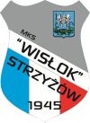 Wisłok Strzyżów